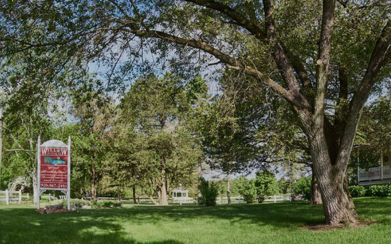 Willow Pond's entrance, shady lawn.