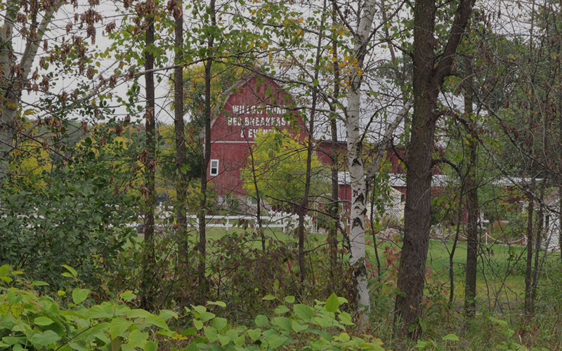 Red barn, Willow Pond B&B & Events.